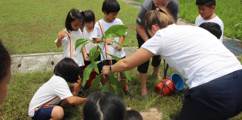 The whole school community celebrating Earth Day by planting trees around the school.
