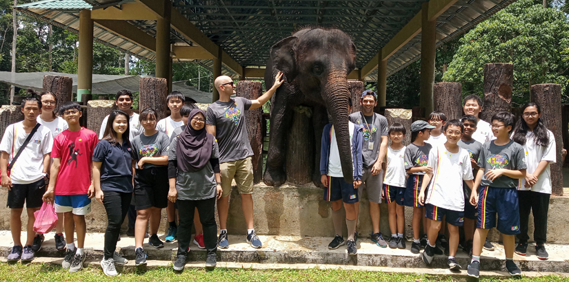 Whole school educational field trip to Kuala Gandah Elephant Sanctuary