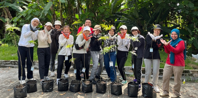 Finished transplanting the saplings