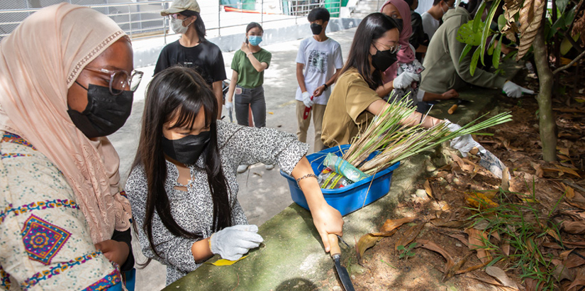 Planting session