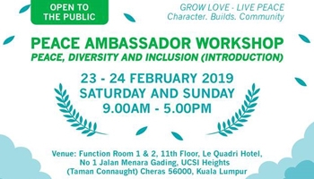 Peace Ambassador Workshop